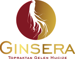 Ginsera Logo